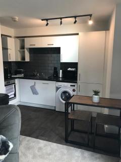 City studio Apartment - Swansea - 1