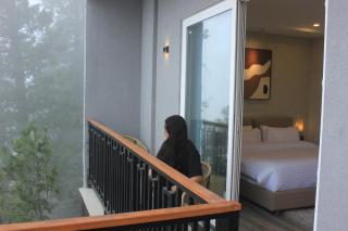 Zesora Nathia Gali - Nathia Gali - 1