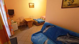 Delfin -przy plaży, widok na morze - Rewal - 4