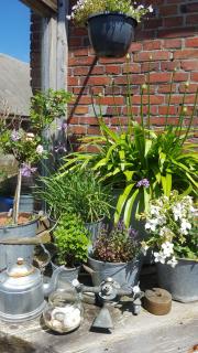 Ferienwohnungen Zollhaus Utlandshoern - 6