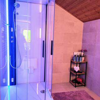 Villa Bischofsberg - Lärchen-Wellness Apartment - Windischgarsten - 9