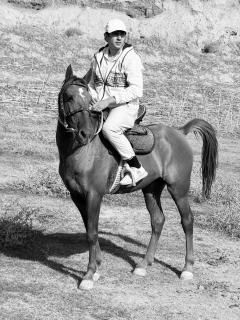 Дом в саду - 1