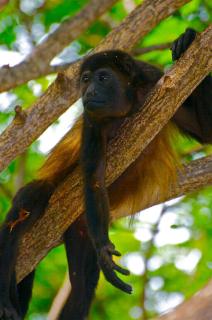 Catalina World Class Viewslocationservice! - 6