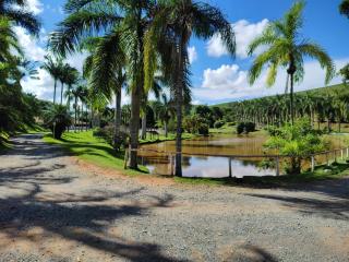 Hotel Fazenda Raiz Mineira - Conceição da Aparecida - 3