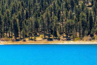 Wren's Nest ~ Charming cabin with hot tub, gas fireplace, Wi-Fi, & W/D - walkable location - Big Bear Lake - 5
