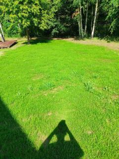 Brzozowy zakątek w Pokrzywnej - 2