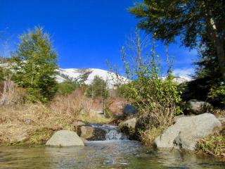 Aguas Sagradas de Panqui - Curarrehue - 9