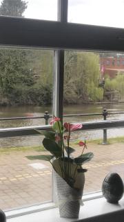 Quay Cottage River view - Bewdley - 3