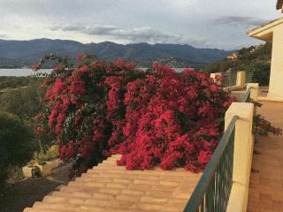 Large family villa with sea view near Palombaggia - Porto Vecchio - 1