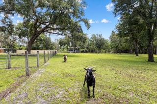 Private Farm with Beach Near St Johns River - 4