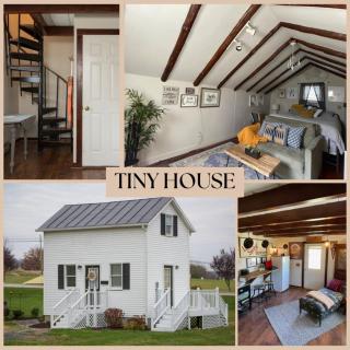 Cozy Tinyhouse Jmudowntown Fire Pit Yard - Harrisonburg - 9