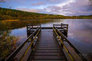 Knocks Country Guestrooms - Lisnaskea - 4