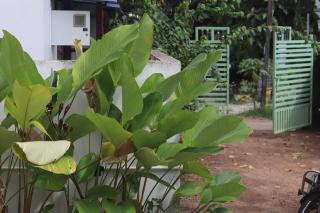 VILLA CALATHEA Varkala - Varkala - 4