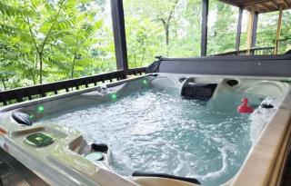 Great Smoky Mountain, Hot Tub, Mins to Dollywood - Kodak - 0