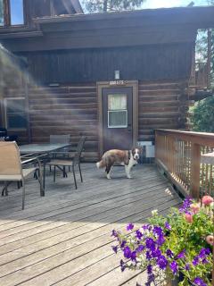 Sandpoint mountain retreat - 9