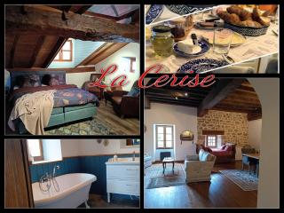 Domaine Le Verger La Cerise - Saint-Estèphe - 4