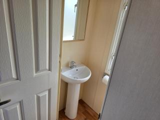Pg50 PALM GROVE GOLDEN PALM CHAPEL ST LEONARD - 8