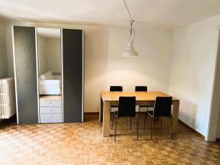 City Center Flats with Balcony Garden View Rigi Self Checkin - Zurigo - 8