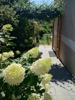 COUNTRY HOUSE ViLLA GIGINA - San Gregorio - 8