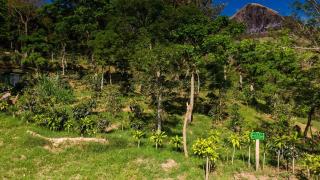 Las Mercedes Mountain House - Matagalpa - 1