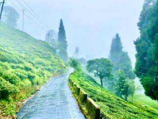 Naman Homestay - 8