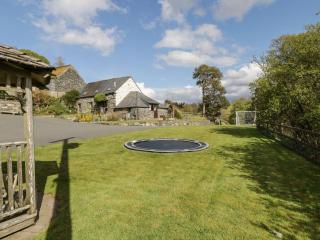 Cyffdy Cottage - Tegid - Bala - 0