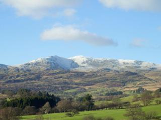 Cyffdy Cottage - Tegid - Bala - 8