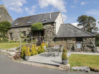 Cyffdy Cottage - Tegid - 9