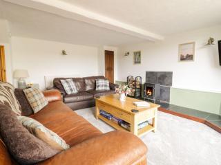 Cyffdy Cottage - Aran - Bala - 7