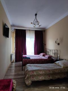 Gusthouse Shekvetili AE - Shekhvetili - 3