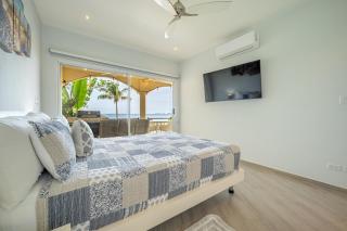 Twin Dolphins 2A - 3