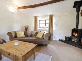Cyffdy Cottage - Arenig - 6