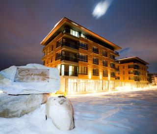 Cornellia 1-bedroom suite condo with Mountain View - 0