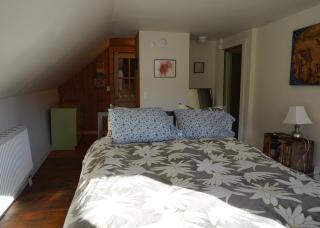 Unique artist's sun filled farmhouse meets loft - 2