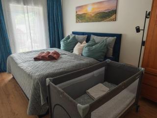 Apartmán 4, Pstruží, Krušné hory - Merklín - 4