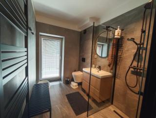 Apartmán 4, Pstruží, Krušné hory - Merklín - 8