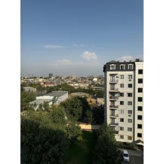 Cozy Classic Apartment - Taschkent - 9
