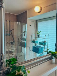 Apartments Ivanović - 1