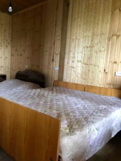 Dvaliauri - House by the Forest - 2