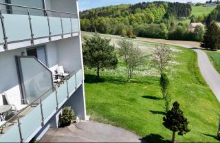 Haus Steinfeld - Kirchberg an der Raab - 7