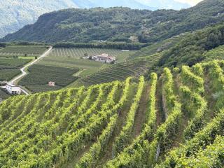 Valtellinda - Bianzone - 7