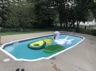 909 & Vine Photo Worthy Home With Pool - 4