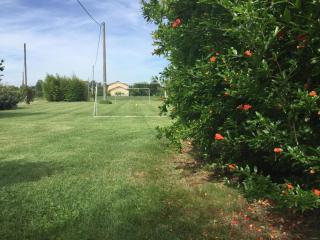 VIGORSO 41 COUNTRY HOUSE - Budrio - 2