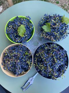 La Grange d'Antornac - 9