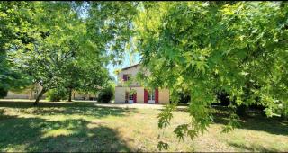 Domaine du Cedre Eternel - 7