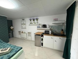 Romantisches Studio inmitten von Weinbergen - Uhwiesen - 4