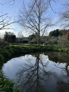 Rose Cottage - 8