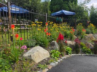 Y Gwydyr Hotel - Dolwyddelan - Dolwyddelan - 8