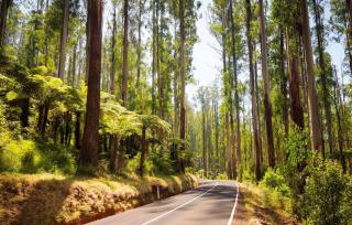 Sign Maker's Cottage - 1