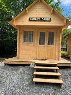 Cuddly Cabin At The Lake On Muskoka Shores - Seguin - 7